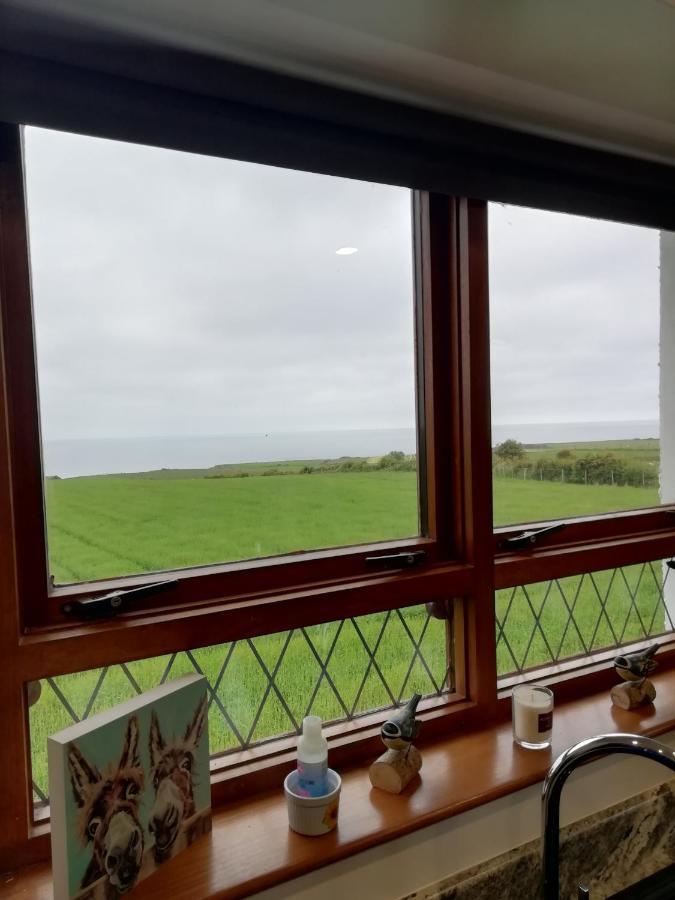 Craig Cottage Self-Catering ブッシュミルズ エクステリア 写真